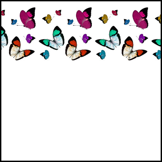 Butterfly Notecards