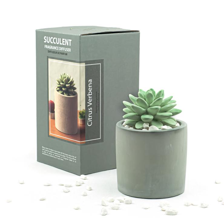 Succulent Gypsum Fragrance Diffuser Ceramic Vase Set (Citrus Verbana Scent)