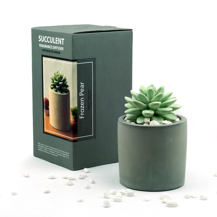 Succulent Gypsum Fragrance Diffuser Ceramic Vase Set (Frozen Pear Scent)
